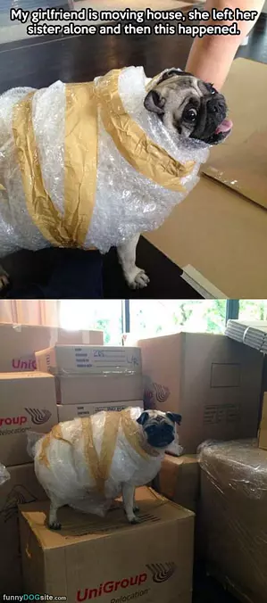 Moving
