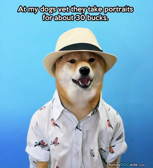 Dog Portrait