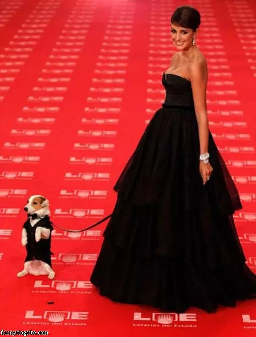 Red Carpet Pose