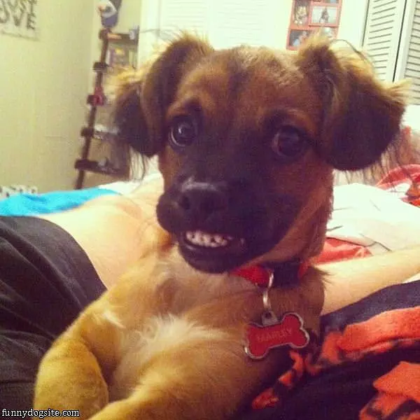 Smiling For The Picture