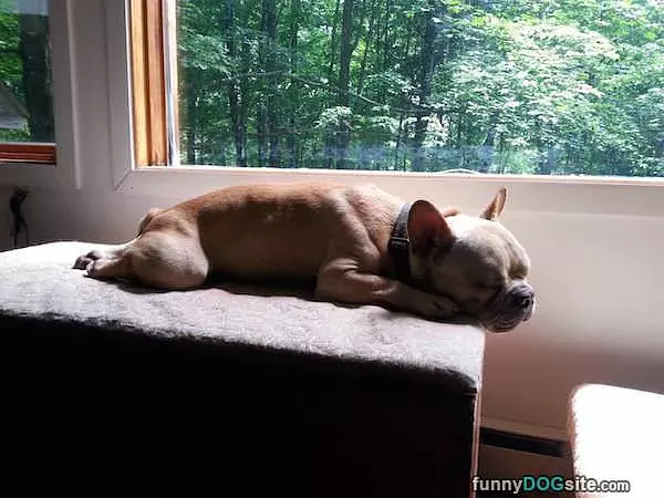 This Spot Is Nice And Warm