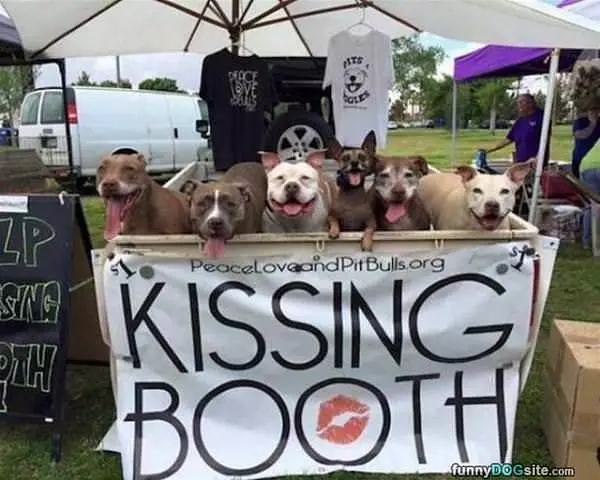 Kissing Booth