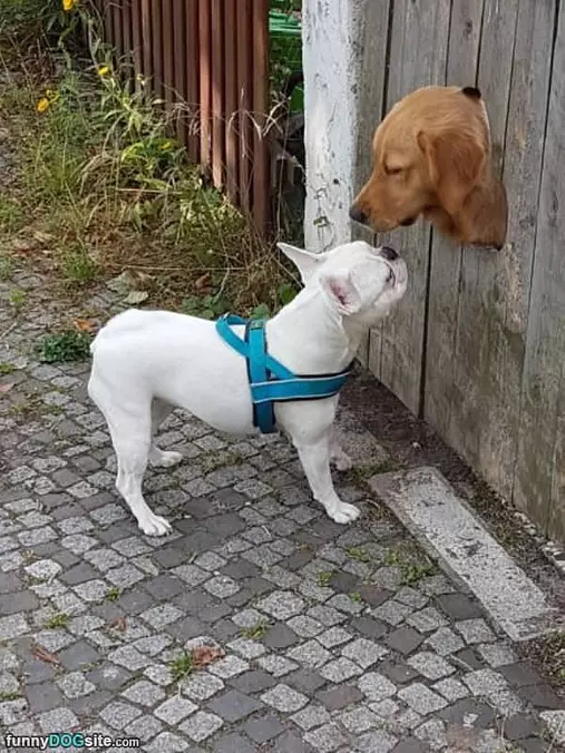Nice To Meet You