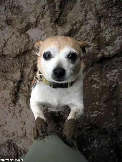 Do You Want Some Mud
