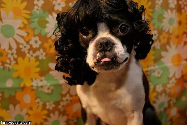 Black Wig