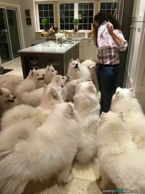 Lots Of Snacks