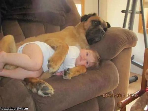 My Puppy Blanket