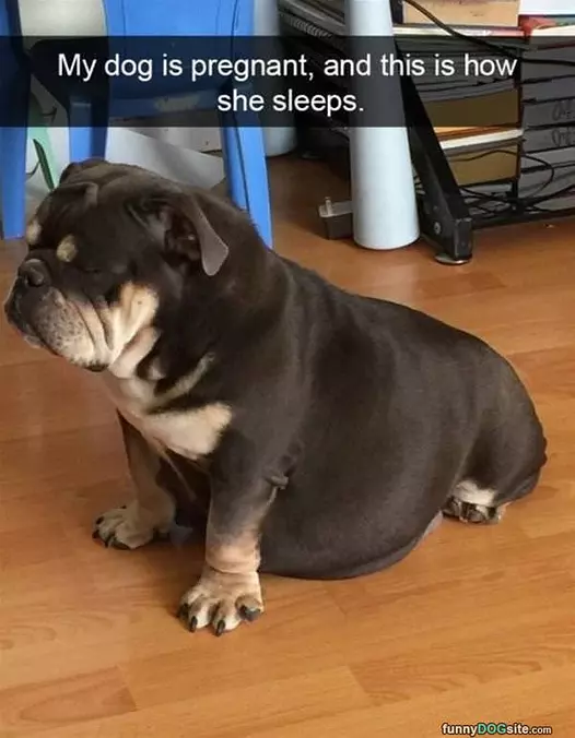 How I Sleep