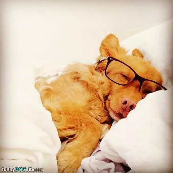Had A Long Day