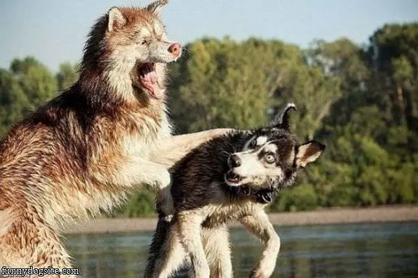 Its Play Time