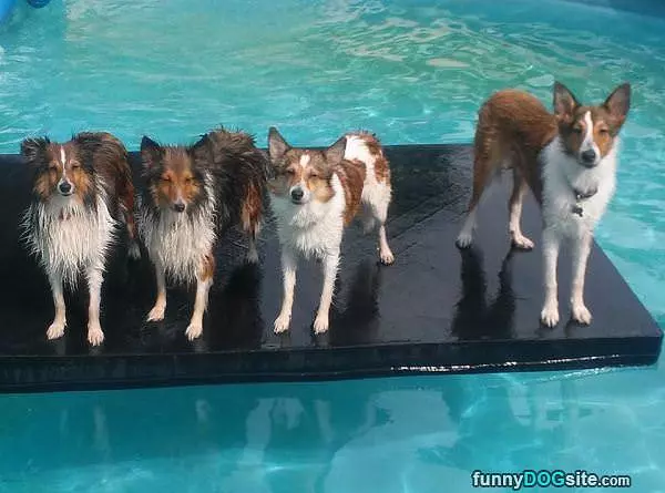 Floating Around
