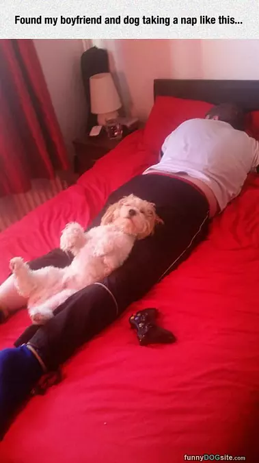 Taking A Nap