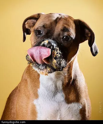 Peanut Butter