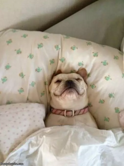 So So Sleepy