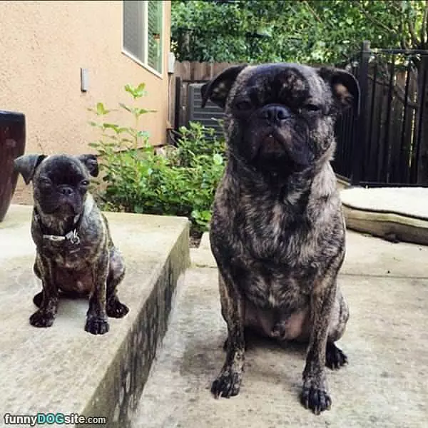 Just Like Mommy