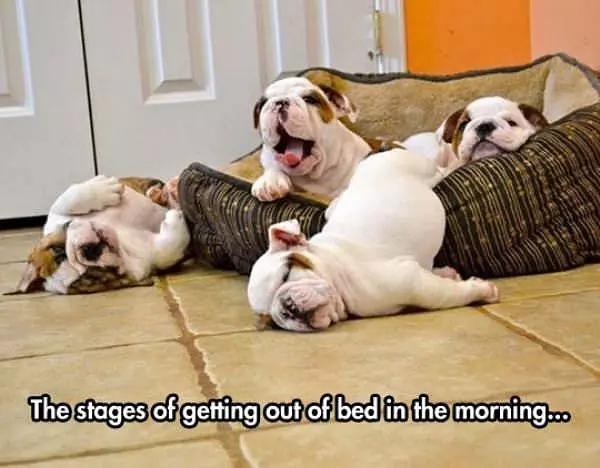 Stages Of Getting Out Of Bed