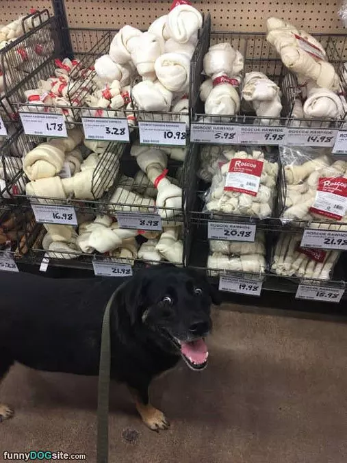 My Favorite Store