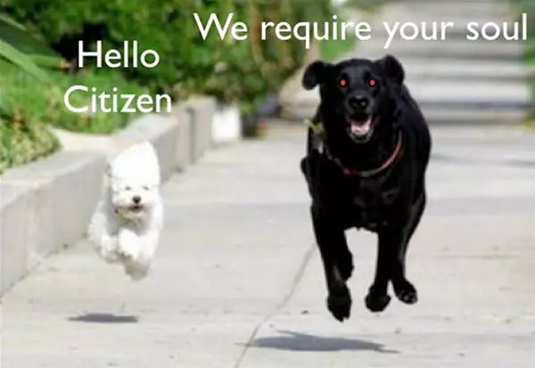 Hello Citizen