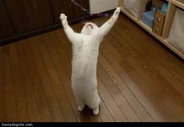 Hooray For Play Time