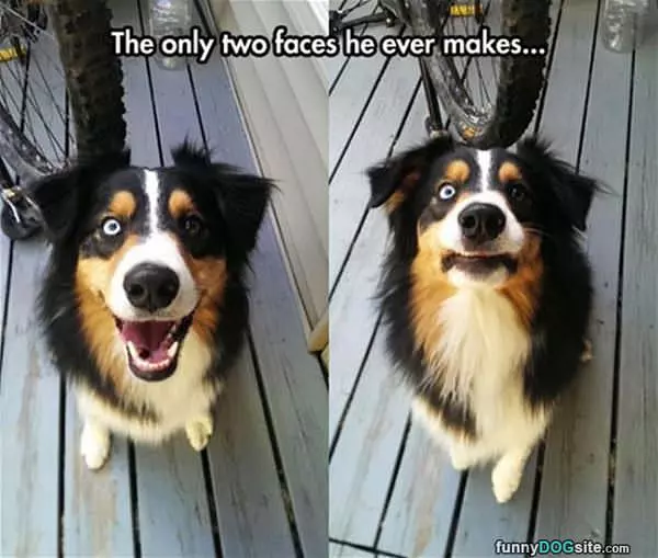The Faces He Makes