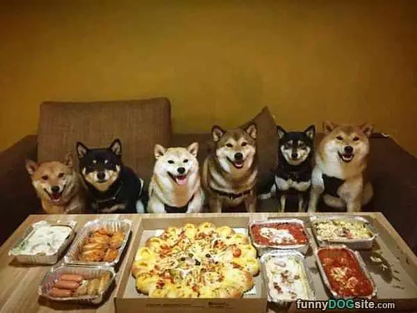 We Are Ready