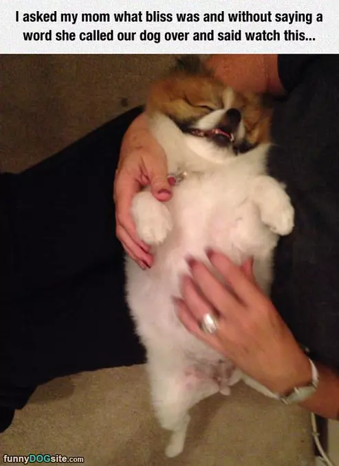 Bliss