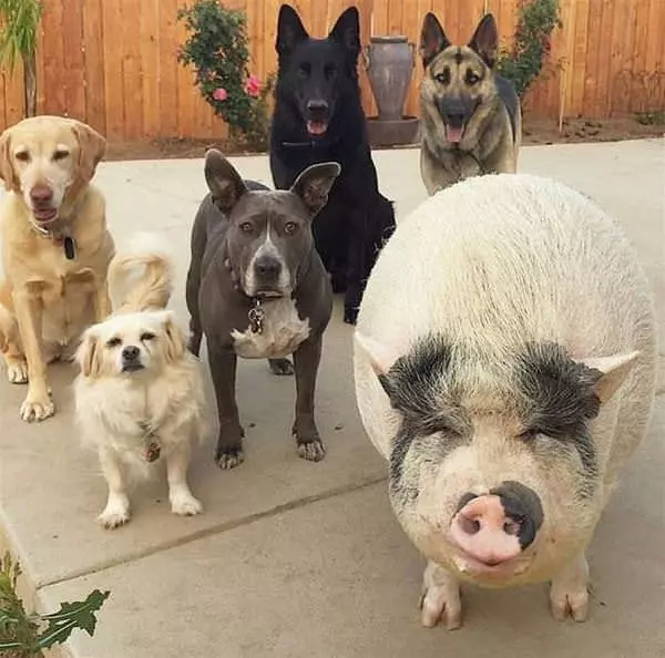 All Relaxing Together