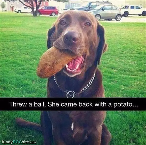 Better Than A Ball