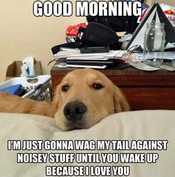 Good Morning