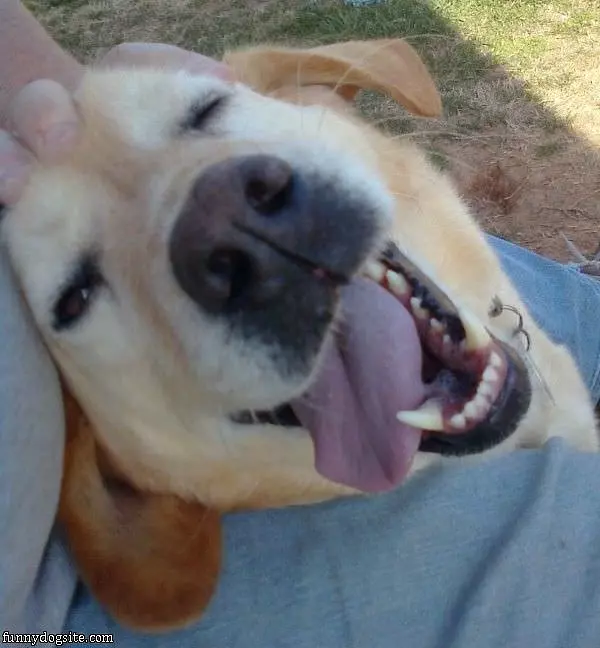 Having A Happy Day