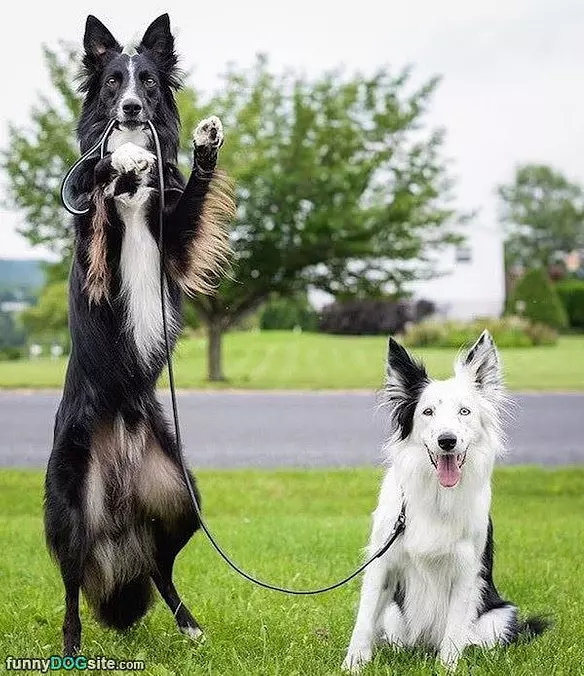 Just Hanging Out