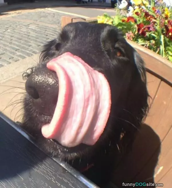 That Is A Long Tongue