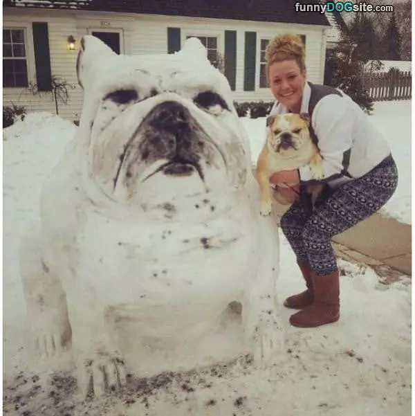 Snow Dog