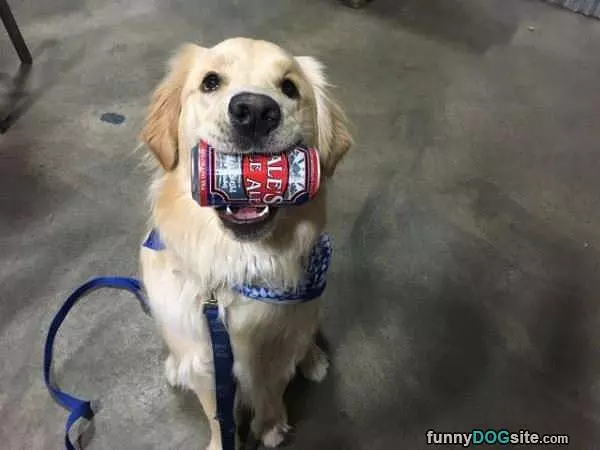 Got You A Snack