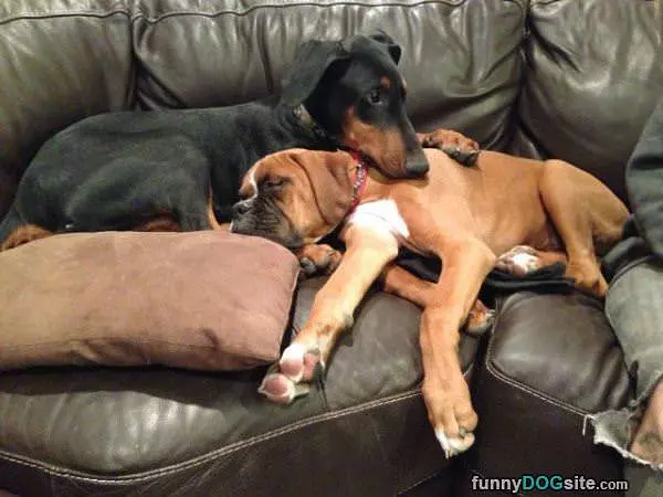 Bestest Friends