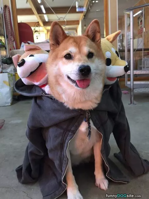 Cerberus Costume