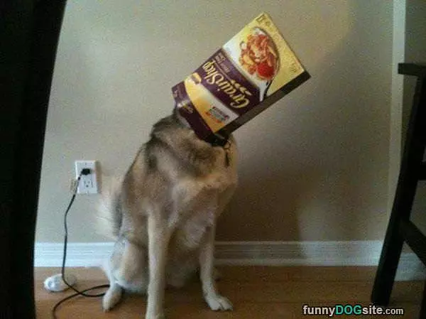 Human I Need Help