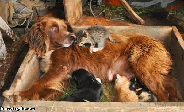 This Is A Warm Bed