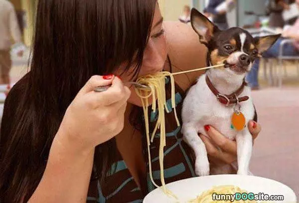 Mmmm Spaghetti