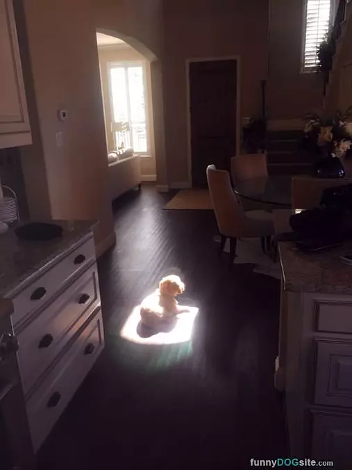 Best Spot In The House
