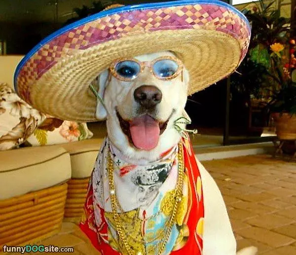 Ready To Party