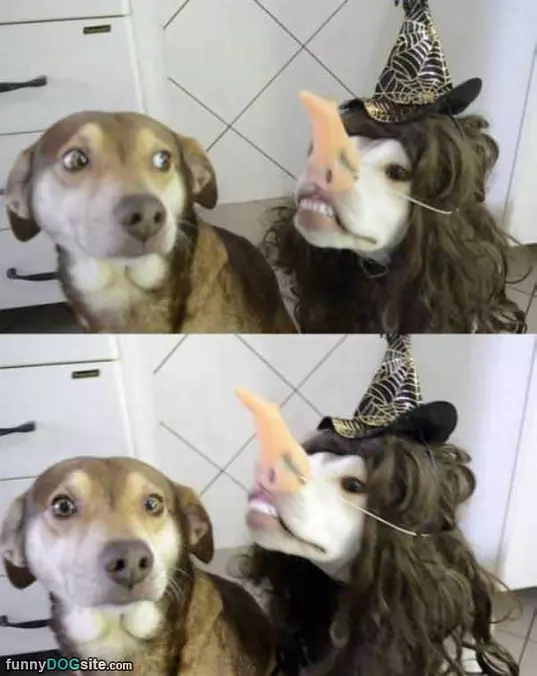 Wicked
