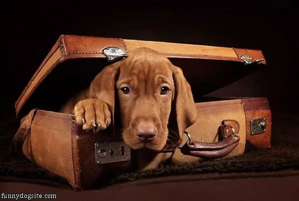 Packing