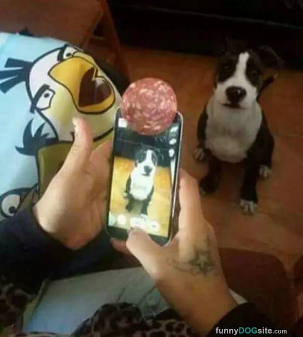 How To Get A Selfie