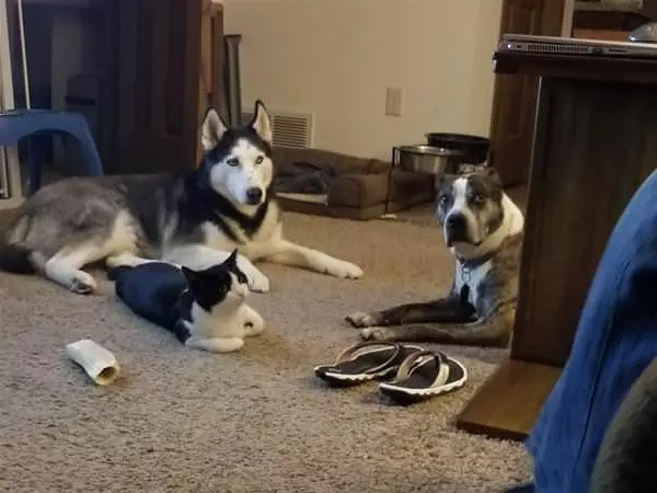 A Meeting