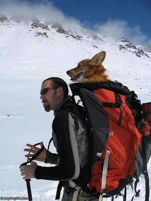 Backpacker