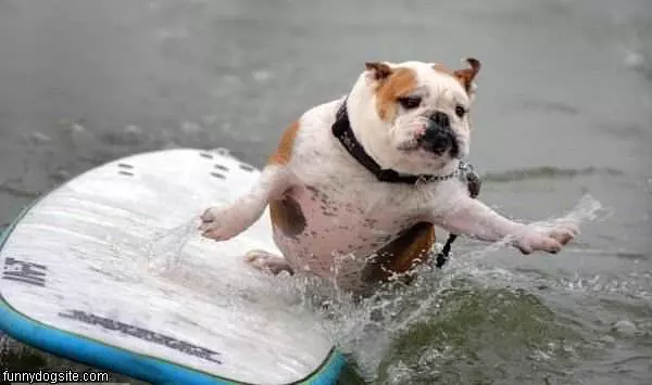 Surfin Usa