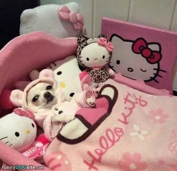 So Tucked In