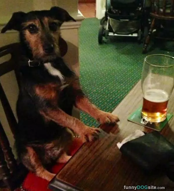 Another Cold One Please