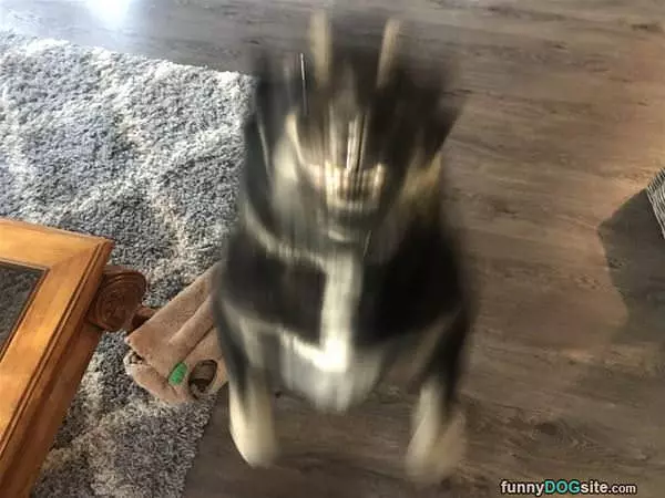 Ready To Jump